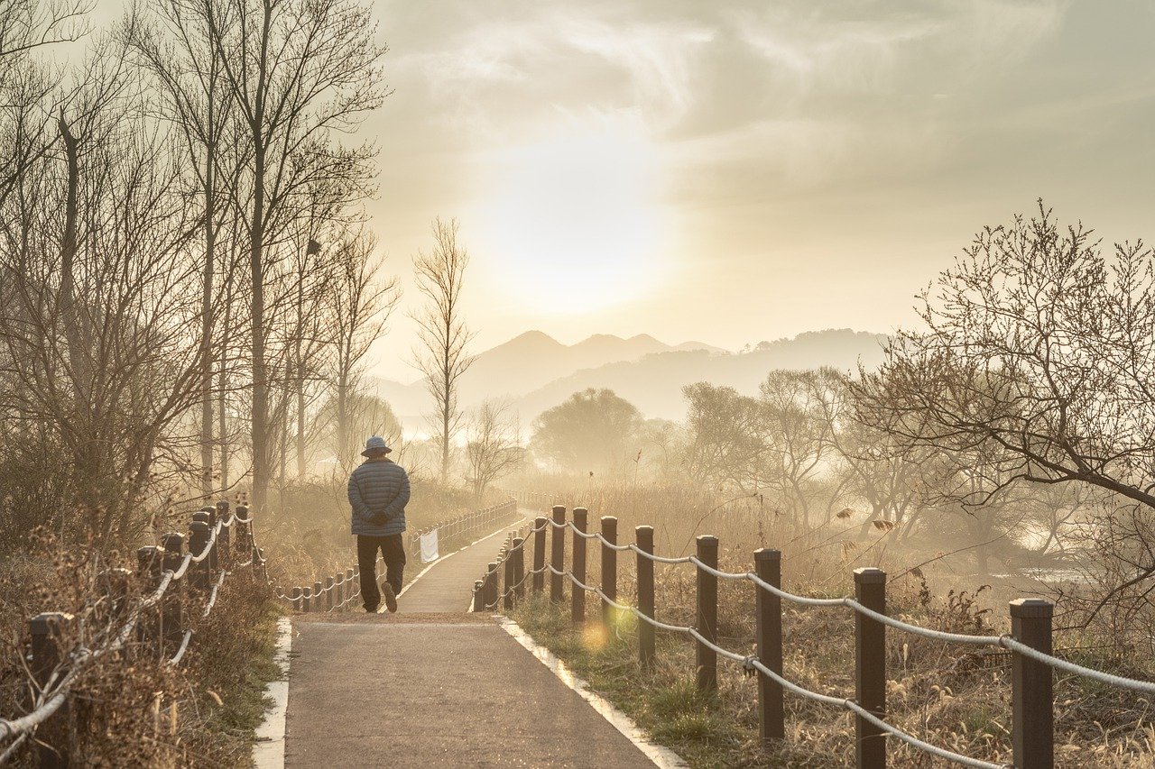 old man, walking, pathway-7531093.jpg